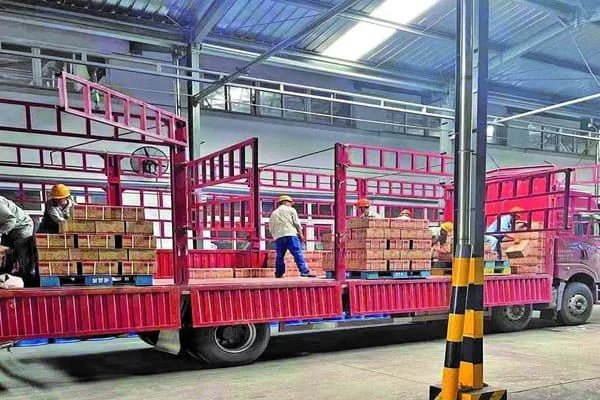 alt with keywords: documents for China pesticide export