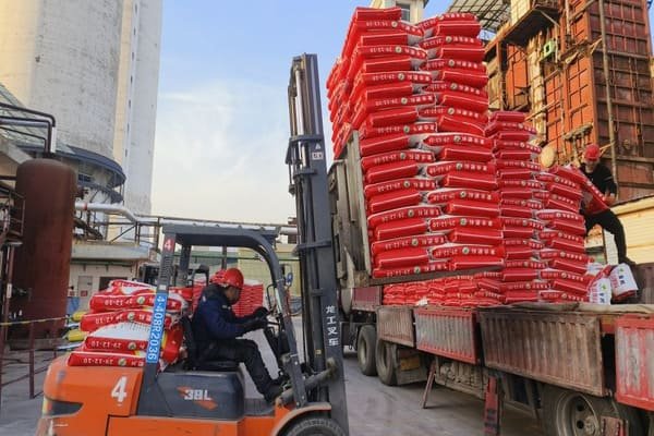 A container ship on the ocean with fertilizer bags visible