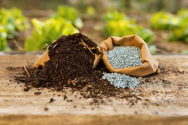 Maritime Export of fertilizers: Are They Classified as Dangerous Goods?