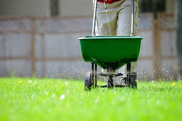 Farmers spreading fertilizer on a field with a tractor