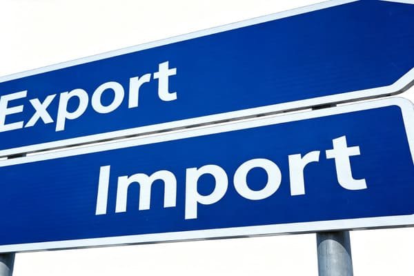 A freight forwarder working with a client on documents