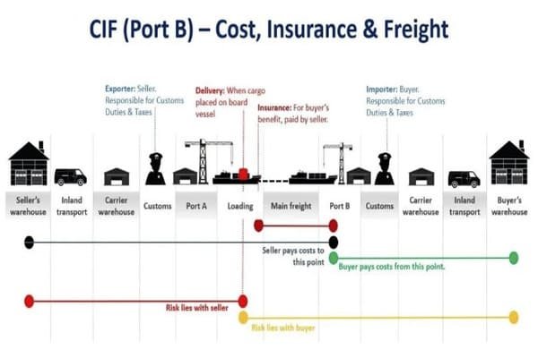 A freight forwarder consulting with a client over shipping documents
