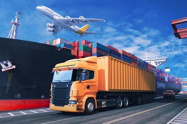 Logistics expert from Deeplinker advising a client on shipping