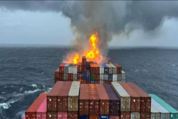 Customs officer inspecting a shipping container