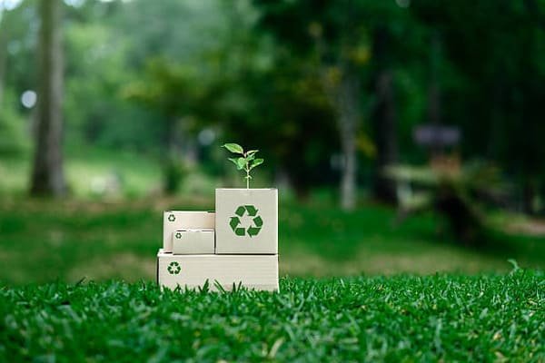 Green Packaging Rules 2026 (China+EU): 5 Must-Do Changes for Cross-Border Shipments