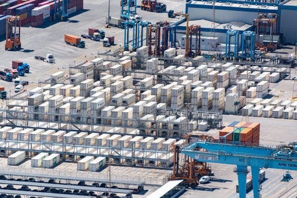 Cold Chain Shipping Mistakes: Do Reefer Containers Actually Cool Your Cargo?