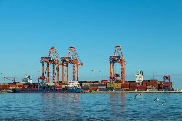 Indonesia Export Reporting 2026: How to Avoid Shipping Delays for Coal and Palm Oil Cargo?
